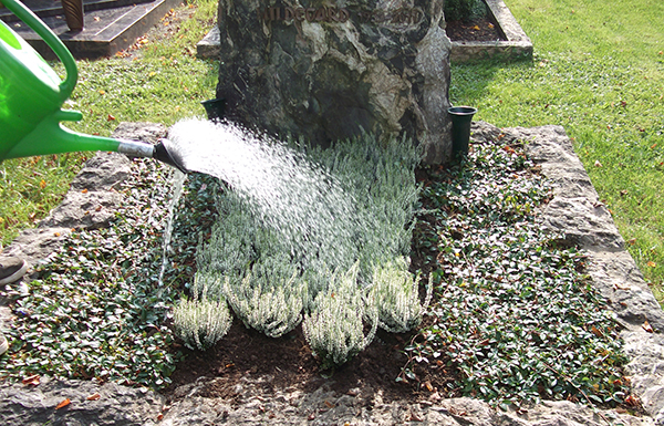Dauergrabpflege